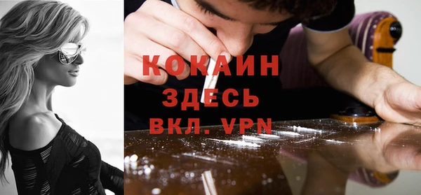 гашик Верея