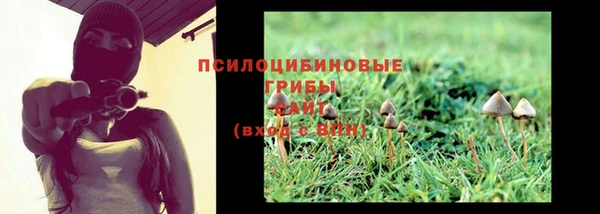 гашик Верея