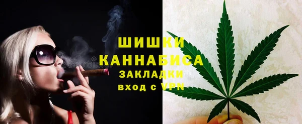 гашик Верея