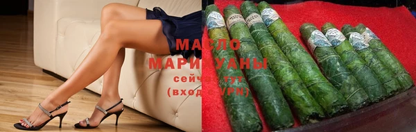 гашик Верея