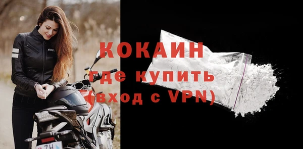 гашик Верея