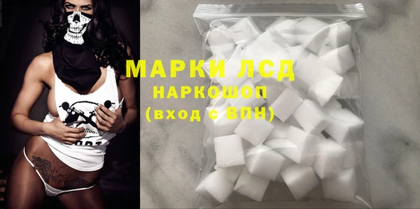 гашик Верея