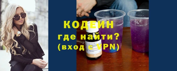 гашик Верея