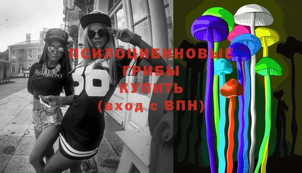 гашик Верея