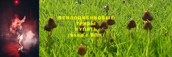 гашик Верея