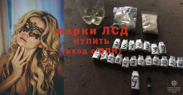 гашик Верея
