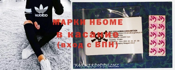 гашик Верея